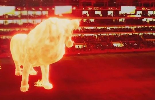 Have you seen the 'Fire lion'?