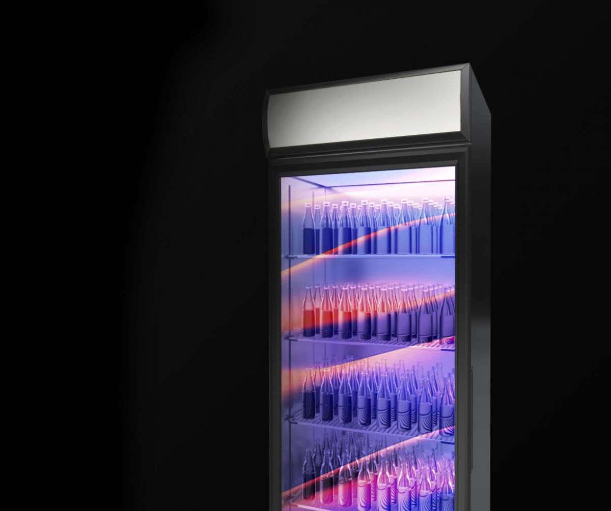 Holofridge