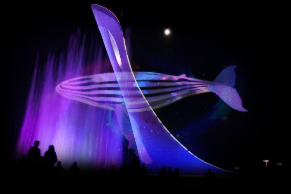 What is Holography